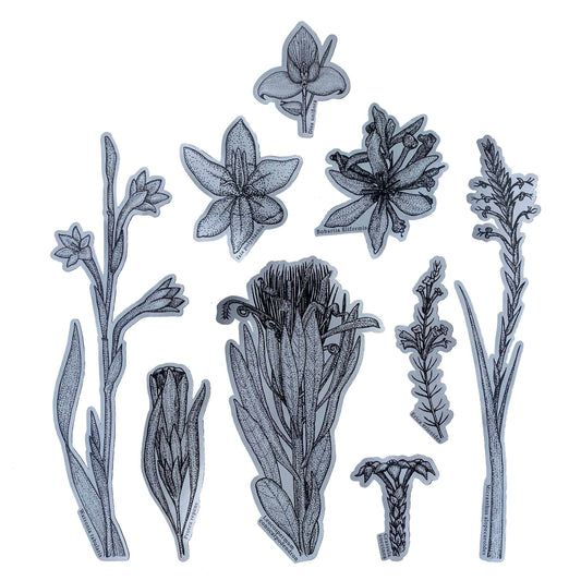 Plants of Table Mountain Sticker Pack